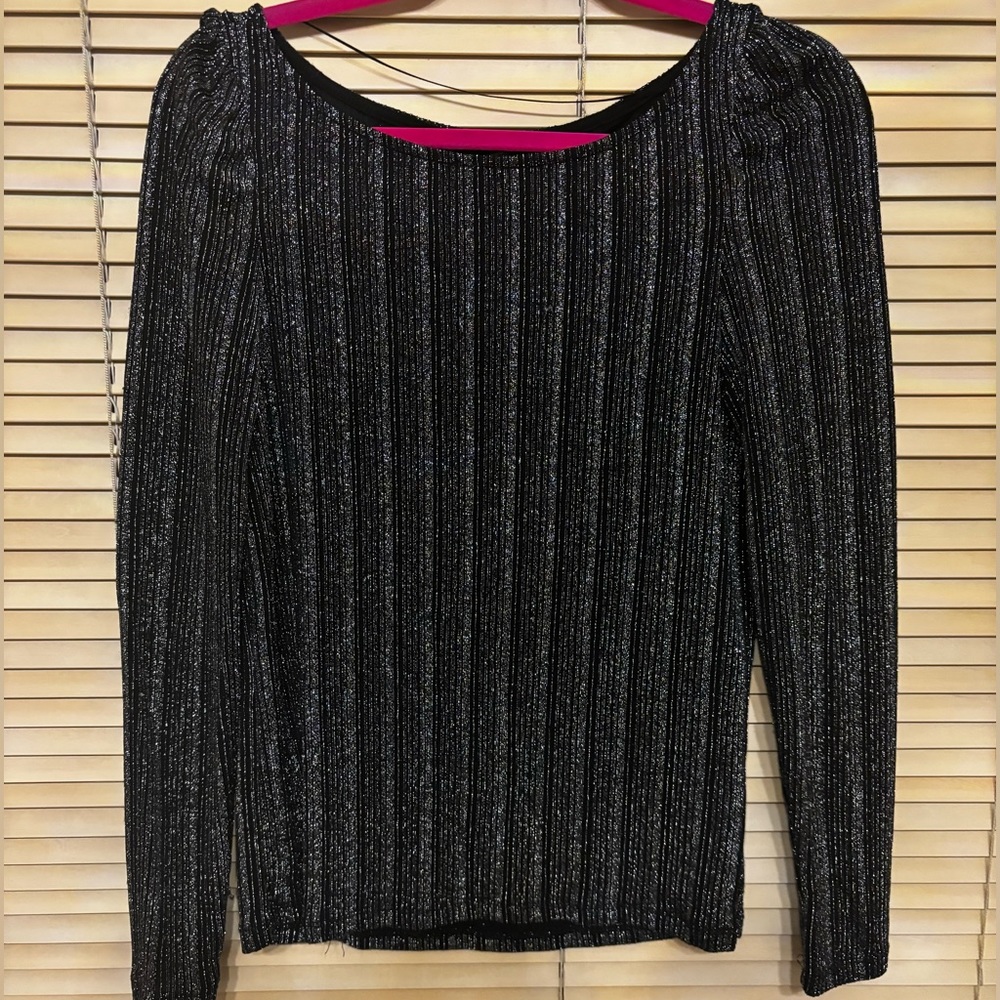 Long Sleeve Shimmery Top